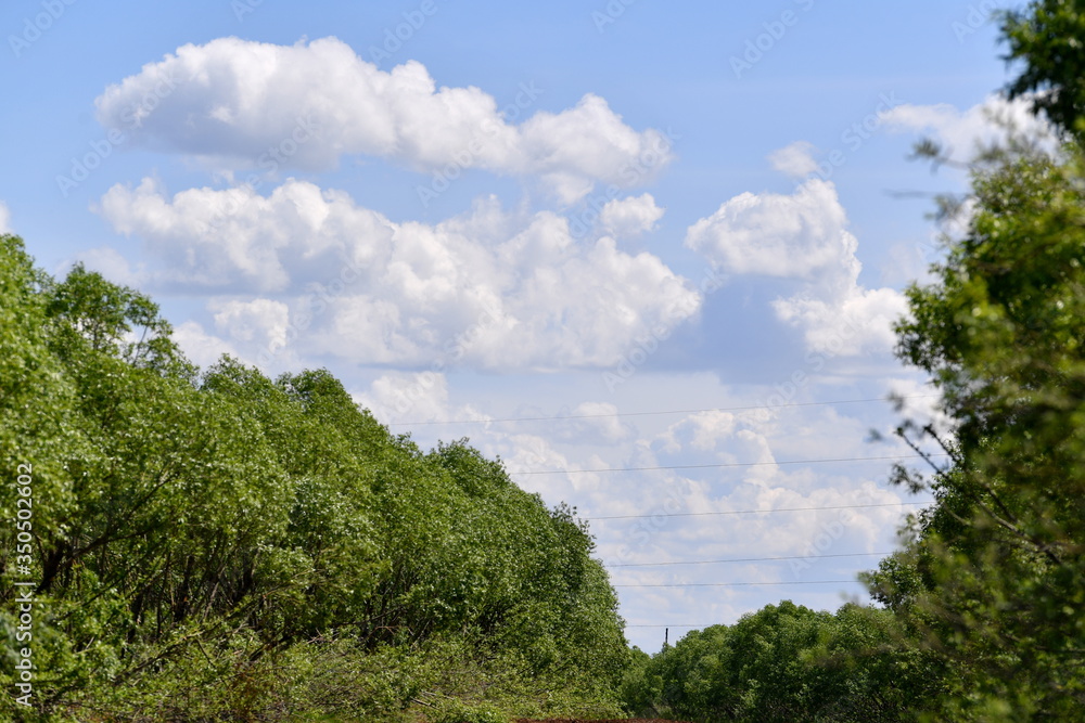 fields, fields and open sky, clear day, spring, summer, heat, clouds, clouds