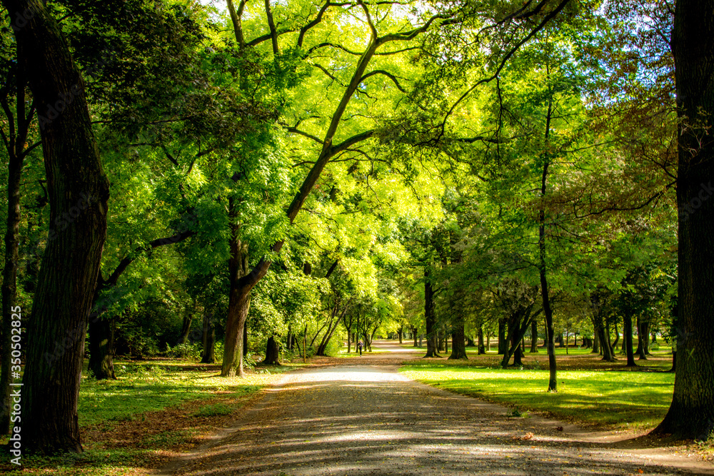 Path through a city park