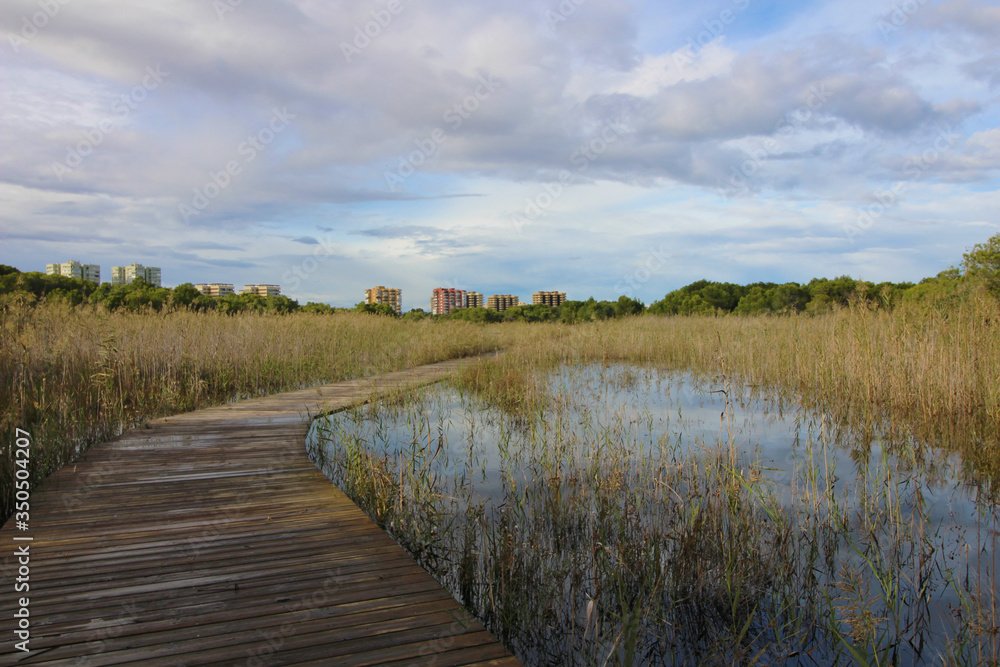 Albufera de Valencia, España Albufera de Valencia, España