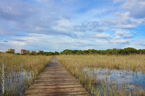 Albufera de Valencia, España