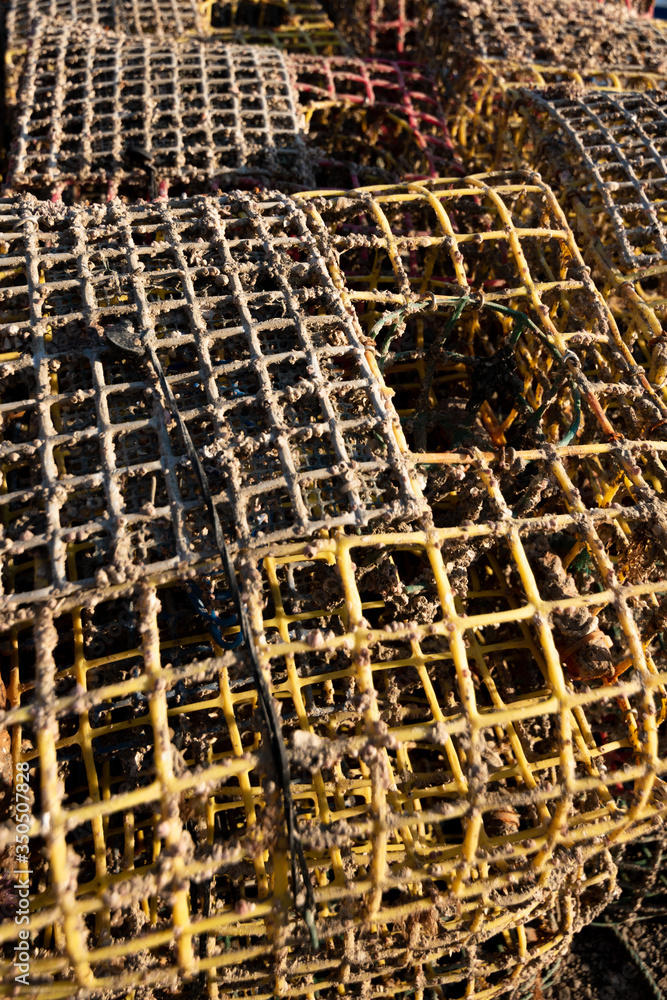 ishing nets in the port