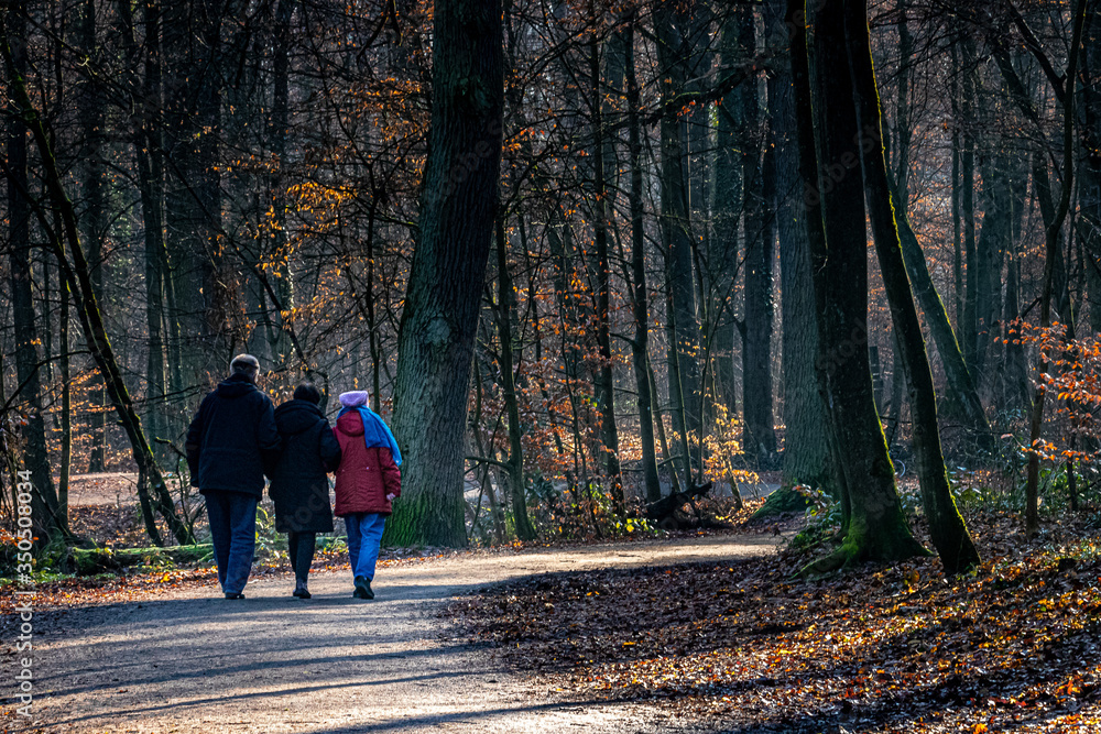 three people walking through the forest on a cold winters day