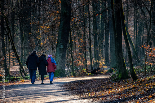 three people walking through the forest on a cold winters day