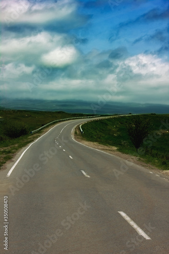 Asphalt road in the middle of a summer field