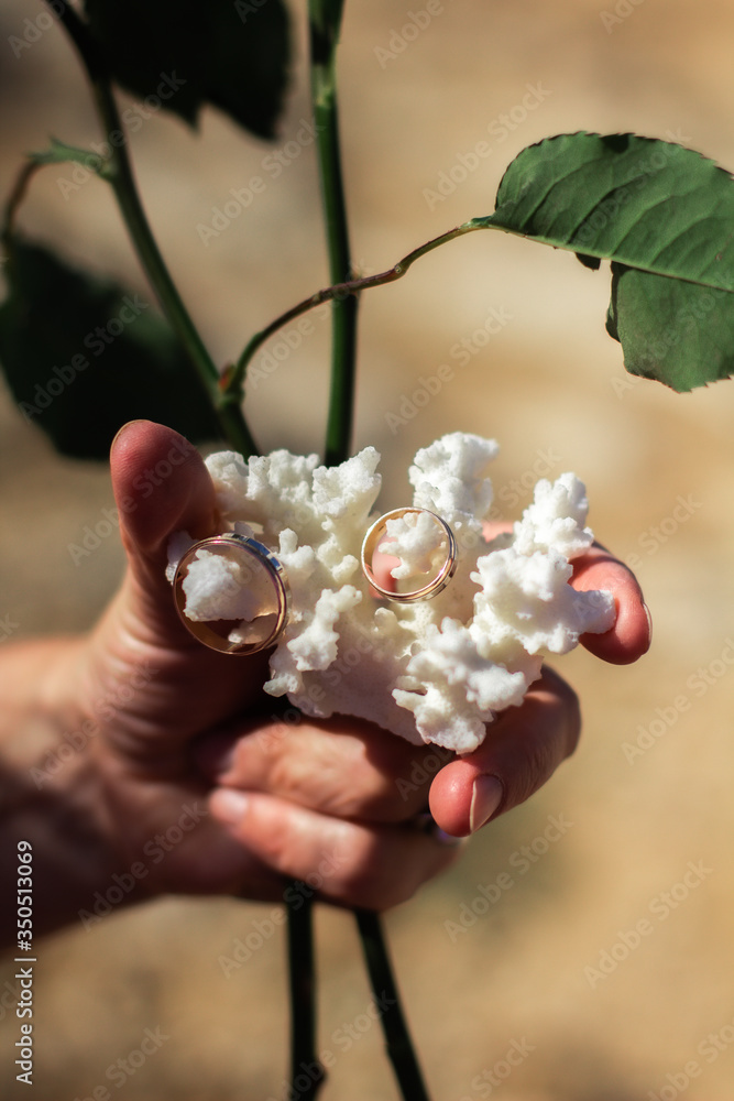 Hand holding white coral with wedding rings and roses. Wedding ceremony on a seacoast in Spain, Mallorca. Concept of marriage, husband and wife, couple, vows, lifestyle, relationship, love... Hand holding white coral with wedding rings and roses. Wedding ceremony on a seacoast in Spain, Mallorca. Concept of marriage, husband and wife, couple, vows, lifestyle, relationship, love...