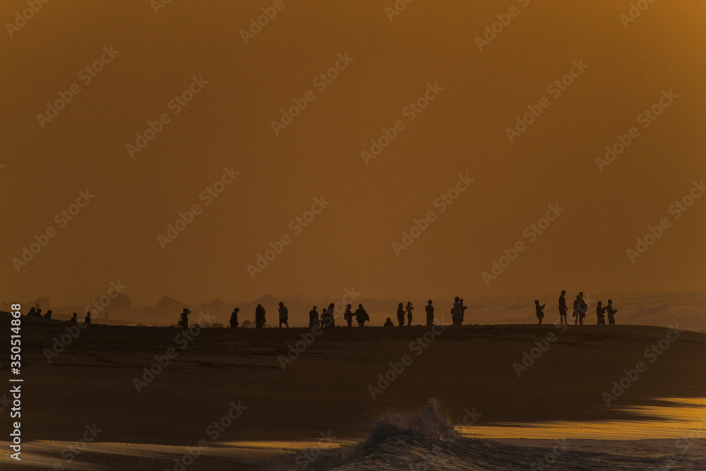 Bunch of People on The Beach During Sunset 