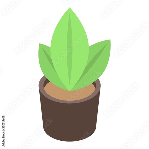 Plant pot icon. Isometric of plant pot vector icon for web design isolated on white background