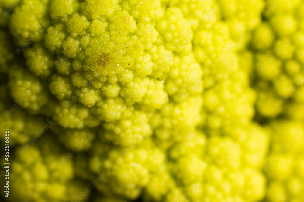 Broccoli detail in macro Broccoli detail in macro