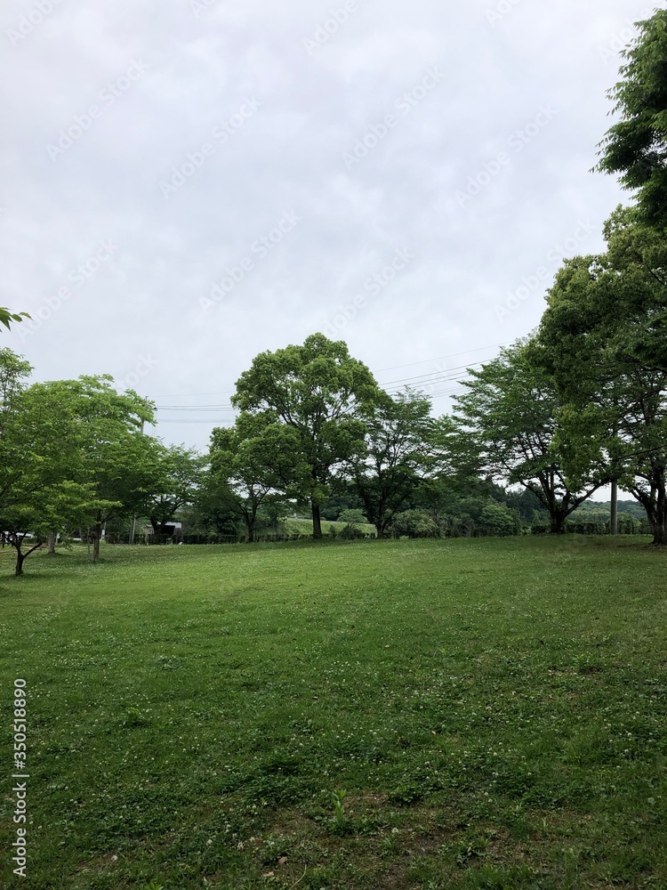 Obraz premium 公園