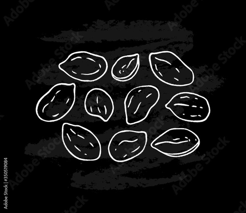 Set of white peanut icons isolated on black chalkboard background. Ink sketch of nuts. Hand drawn vector illustration.