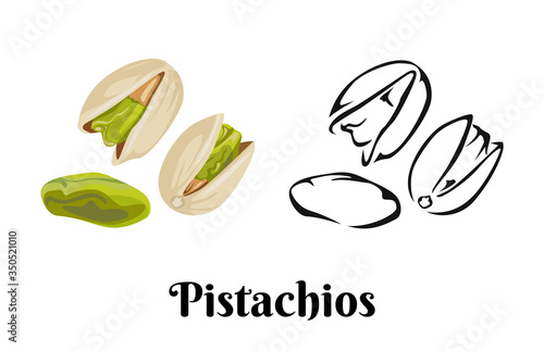 Pistachios isolated on white background. Vector color illustration of  nuts in shell and peeled in cartoon flat style and black and white outline. Organic food Icon.
