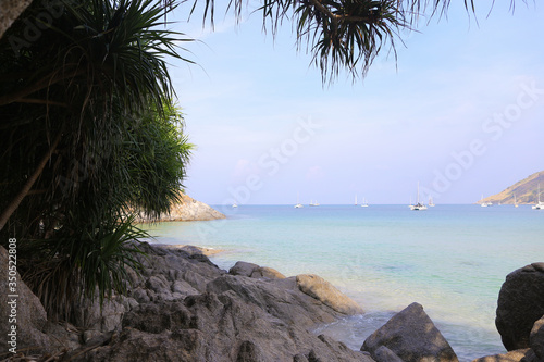 Tropical landscape with palms, ocean and ships in background. photo