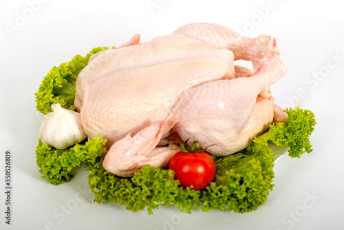 
chicken meat