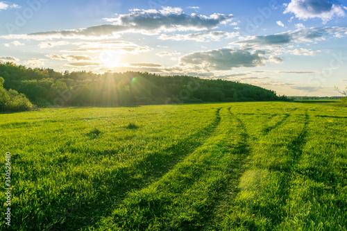 Scenic view at beautiful spring sunset in a green shiny field with green grass and golden sun rays  deep blue cloudy sky   trees and