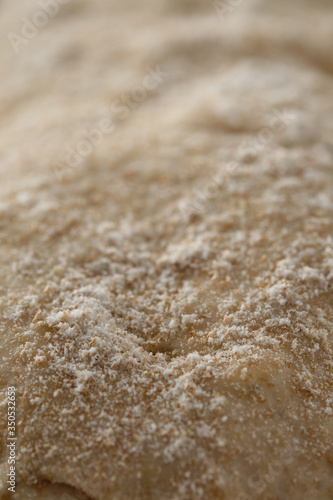 Raw baguette dough with whole grain rye flour. Copy space.