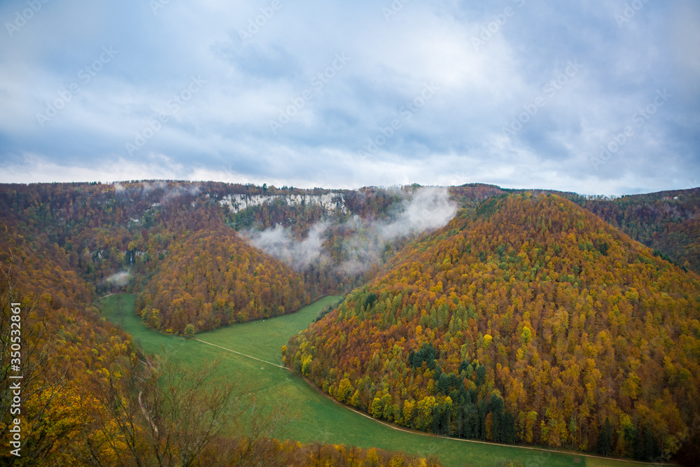 Obraz premium German Forest in Autumn