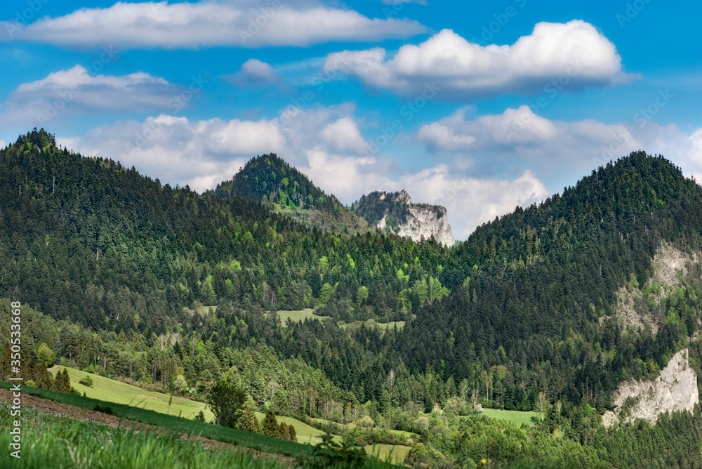 Obraz premium wiosna