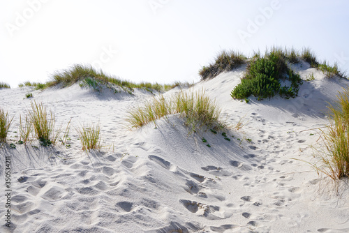 Fototapeta Naklejka Na Ścianę i Meble -  Open dunes vegetation and footprints in white sand beach near ilhavo, Portugal, during a summer day.
