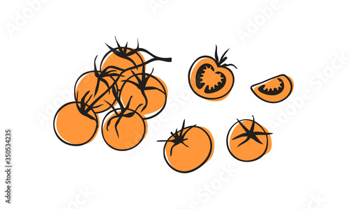 Doodle Hand drawn stylish fruit and vegetable. Vector artistic drawing fresh organic food. Summer illustration vegan ingrediens for smoothies