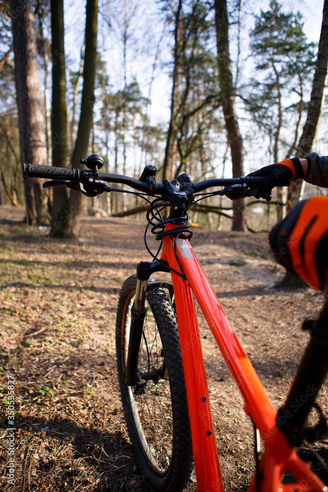 Naklejka premium Bicycle with orange frame in the forest on the highway. A bicyclist in black and orange gloves holds the bike by the frame and seat. Theme of Cycling, sports, healthy lifestyle