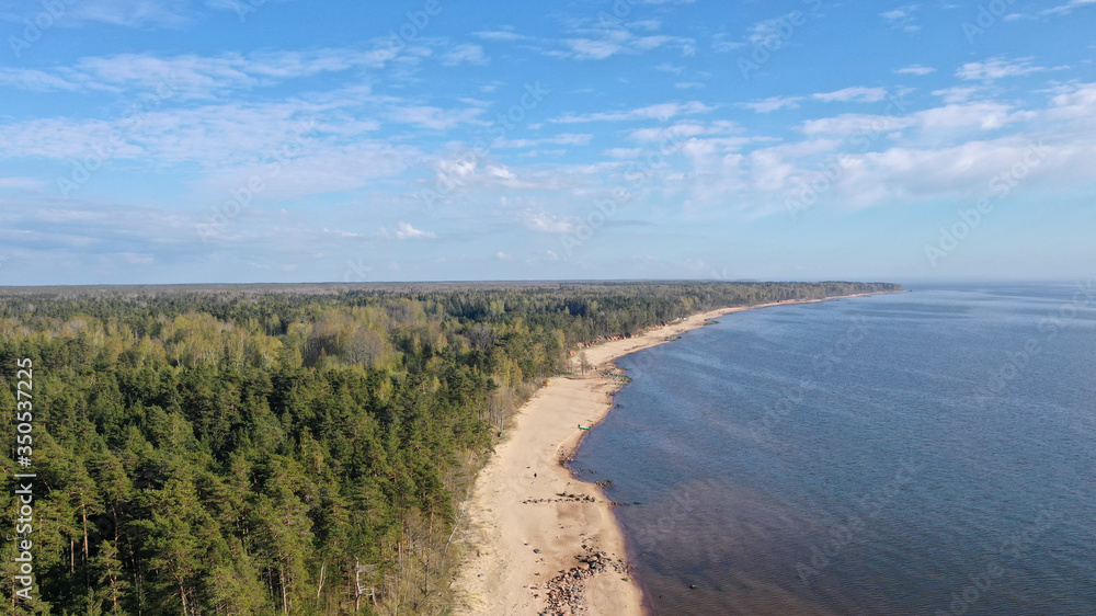 Aerial view of beautiful sea landscape. Drone view of a sandy beach, green trees and silent sea in a sunny day with blue sky. Vacation. Traveling. Outdoor recreation. 