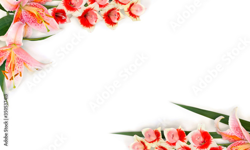 Frame of gladiolus flower and pink lilies on a white background with space for text. Top view, flat lay