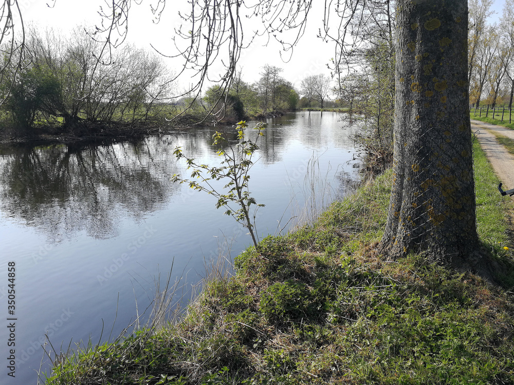 Obraz premium at the river in spring