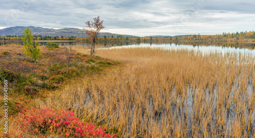 Beautiful and calm autumn colored landscape scenery early morning in Norway.