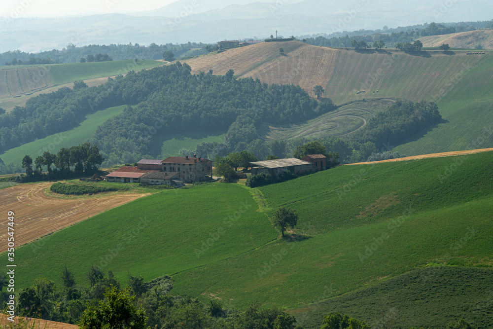 Country landscape near Medesano, Parma, at summer