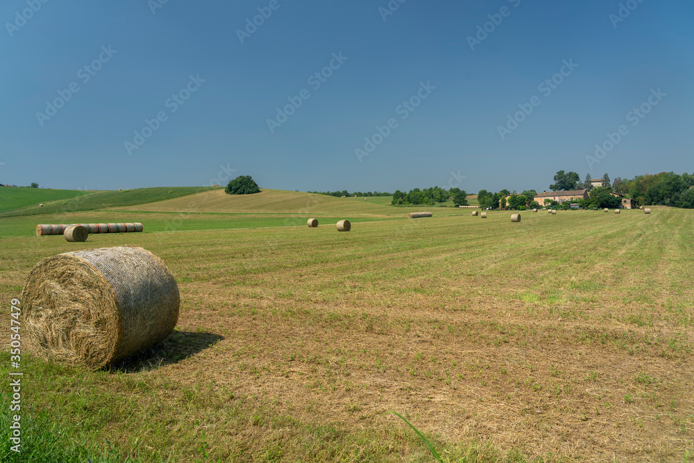 Country landscape near Medesano, Parma, at summer