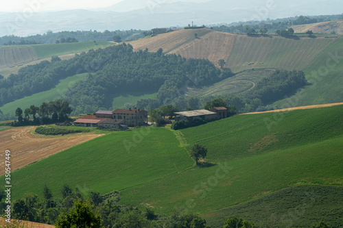 Country landscape near Medesano, Parma, at summer © Claudio Colombo