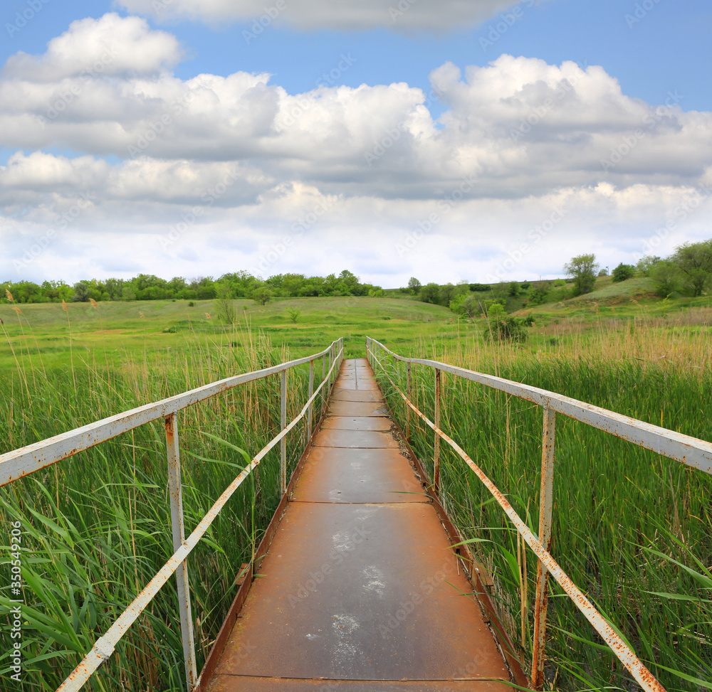 old steel foot bridge over reed-covered river