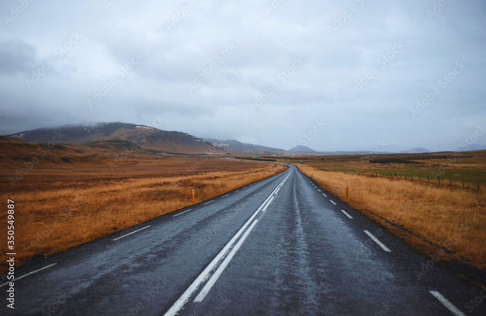 curve of road in field