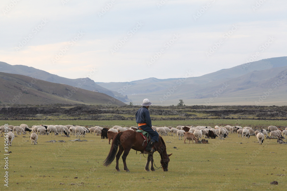 Mongolian man: shepherd on horse in national folk clothing. Herd of ...