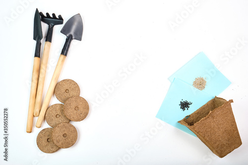 Tools, seeds, peat pots and pressed ground for seedlings. Copyspace for text, top view. Growing food on windowsill. Flatlay on white wooden background