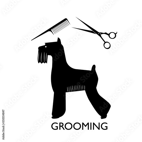 Silhouette of a beautifully trimmed dog, terrier. Comb and scissors - the concept of grooming, pet care. Vector illustration