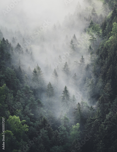 foggy moody morning in saxon switzerland, saxony, germany