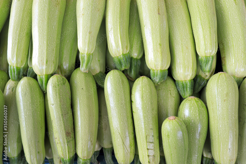Green zucchini. Vegetables pattern. Green zucchini. Vegetables pattern.