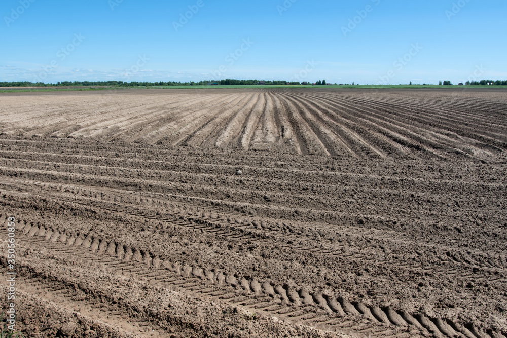 Rural landscape. Ploughed field. Novgorod oblast, Russia. Rural landscape. Ploughed field. Novgorod oblast, Russia.