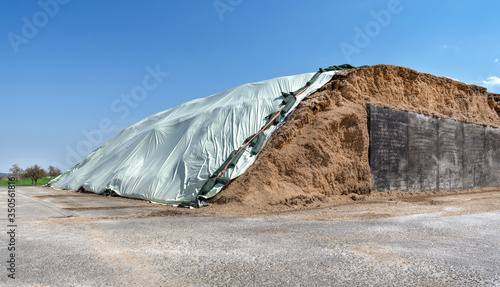 Foto Mit heller Folie abgedeckter, großer Haufen Silage für eine Biogasanlage