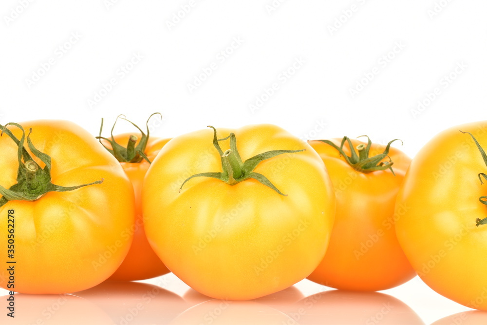 Fresh juicy organic yellow tomatoes, close-up, on a white background. Fresh juicy organic yellow tomatoes, close-up, on a white background.