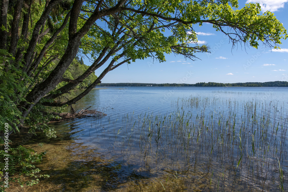 Lake Valdayskoye, Novgorod Oblast, Russia.