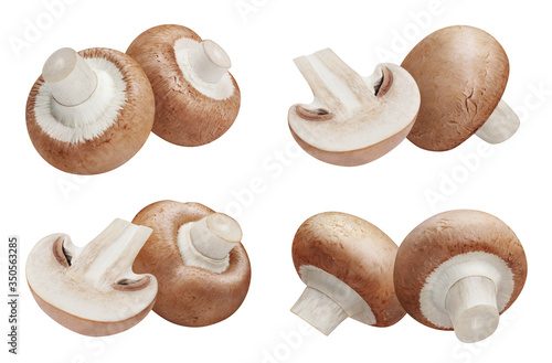 Set of tasty mushrooms, isolated on white background