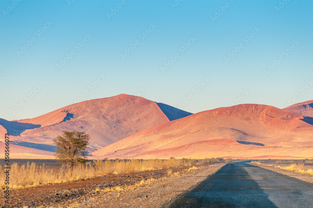 Die Dünen der Wüste Namib in Namibia