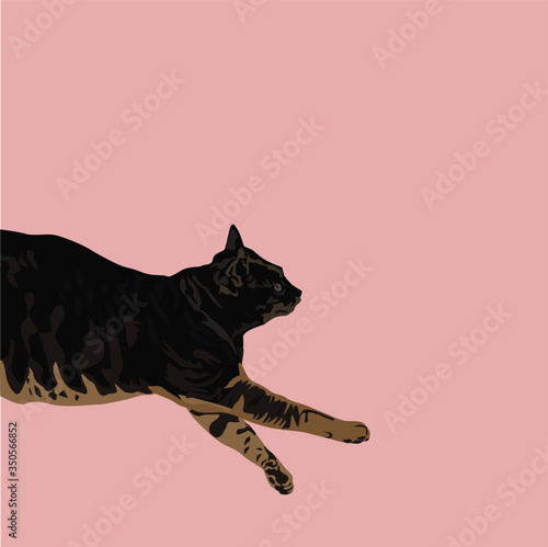  image of a gray cat, which lies on a pink background © Ольга Наварнова