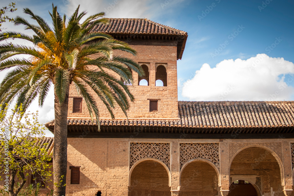 Fototapeta premium Palmera con edificio de ladrillos, alhambra, granada, españa