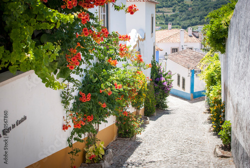   vidos  Portugal con flores rojas