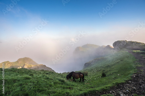 A horse next to the path at the top of the Peñas de Aya mountain or also called Aiako Harria, Oiartzun. Gipuzkoa Province of the Basque Country