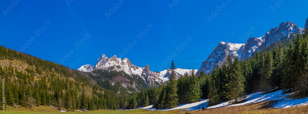 Panorama Wielkiej Polany Małej Łąki w Tatrach Zachodnich