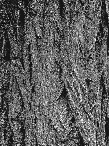 Distressed overlay wooden bark texture, grunge background.